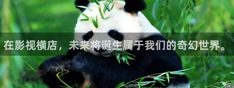 西瓜电影官网在线观看